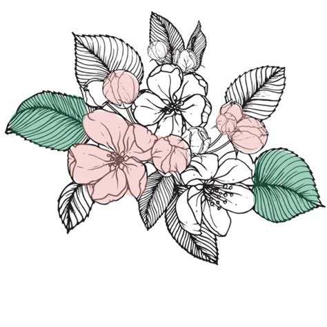 Bellissimi Disegni Di Fiori 200 Immagini Da Disegnare