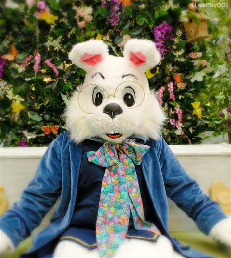 Simon Mall Easter Bunny Photo Experience Caring Bunny And Pet Photo