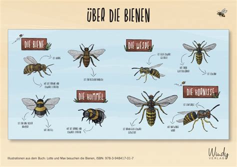 Bienen Windy Verlag