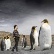 Extinct Colossus Penguin Was Nearly 7 Feet Tall