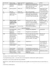 Rexed lamina.docx - Rexed lamina I II Nuclear name Posterior marginal ...