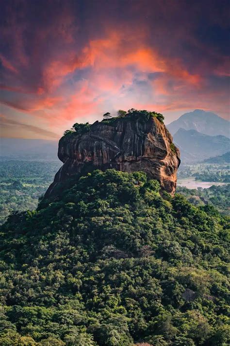 Best Things To Do In Sri Lanka The Discoveries Of