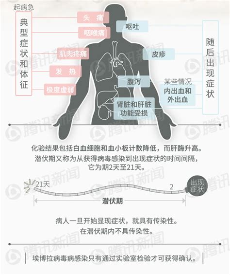 12张图全方面解析埃博拉病毒新闻百科腾讯新闻腾讯网