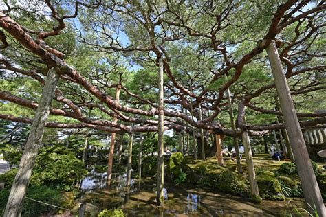 今回歩いたのは、石川県金沢 居酒屋はち丸金沢駅前店 特選！ハイボールコラム 地球の飲み歩き方