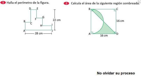 Ayuda Porfa Con Solucion Brainly Lat