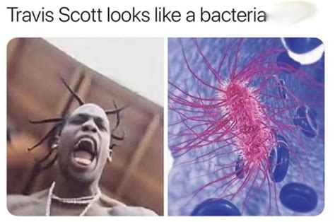 Travis Scott Looks Like A Bacteria IFunny