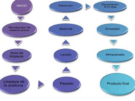 Conclusiones Parciales Del Capitulo Planteamiento De La Propuesta