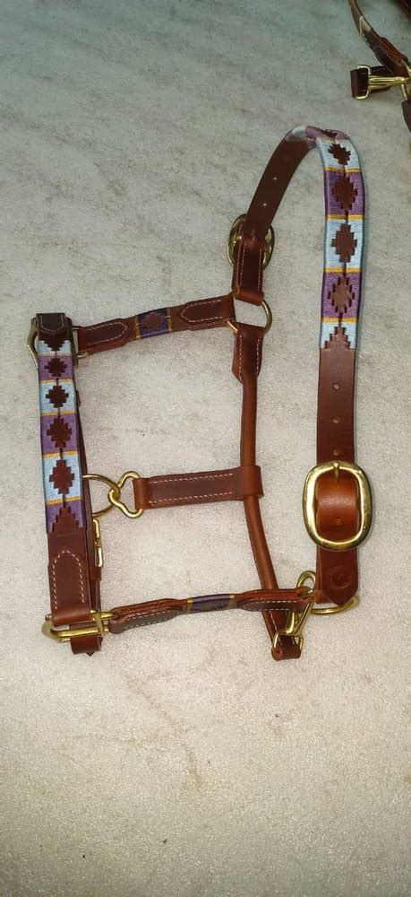 Leather Horse Halter At Rs 850piece Horse Bridle In Kanpur Id