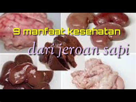 Temukan Manfaat Usus Sapi Yang Jarang Diketahui Solider