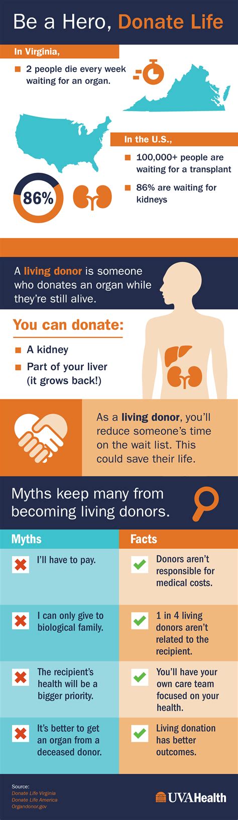 Living Organ Donation Myths Facts And Stats Save A Life Today