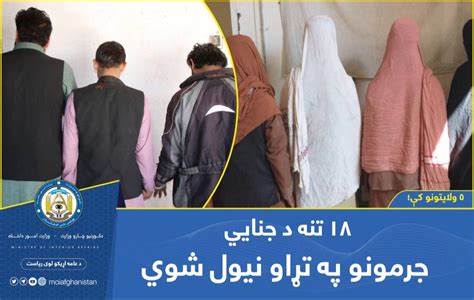 پنځو ولایتونو کې د جرمونو په تور ۱۸ کسان نیول شوي Pajhwok Afghan News