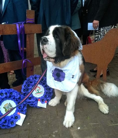 Purple Poppy Day held on 23 August 2023 – Uphall Community Council