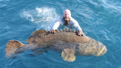 Biggest Grouper Ever Caught