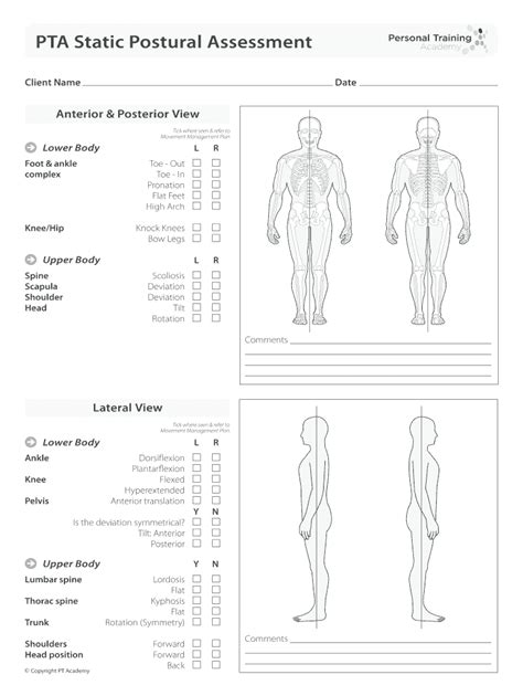 Posture Assessment Pdf Fill Online Printable Fillable Blank