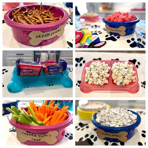 dollar tree dog clothes 6