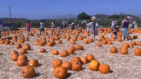 Pumpkin Patch Vlog Youtube