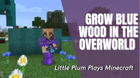 How To Get Blue Wood In Minecraft And Grow It In The Overworld Youtube