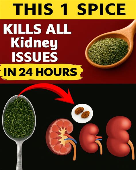 Top 5 Spices That Flush Toxins FAST & Heal Your Kidneys Naturally