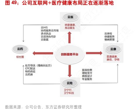 图49：公司互联网医疗健康布局正在逐渐落地行行查行业研究数据库