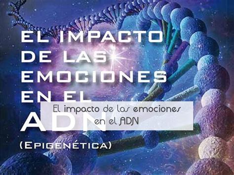 El Impacto De Las Emociones En El Adn