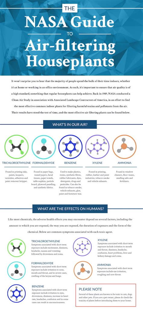 Nasa Guide To Air Filtering Houseplanys