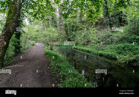 Towpath Along The Disused Severn And Thames Canal Near To Chalford