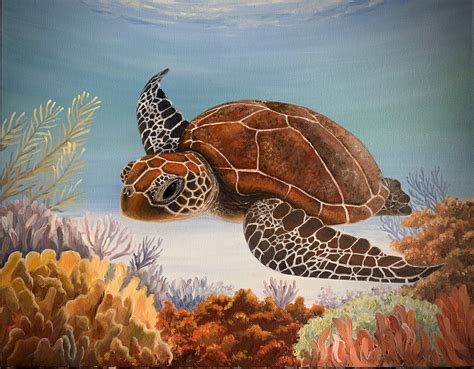 Friday With The Turtles Artistry Beautiful Creatures Turtle My Arts