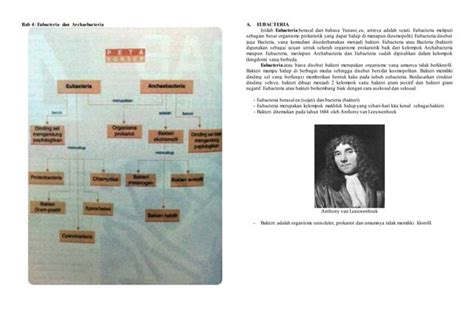 Modul Pengertian Eubacteria Dan Archaebacteria Full Ppt