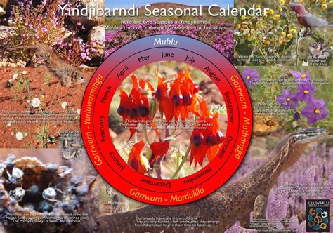 Calendar of the Seasons – Juluwarlu Aboriginal Corporation