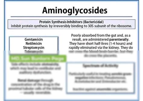 SOLUTION Antibiotics Antibiotics Classification And Their Details With