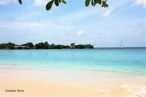 Martinique La Plage Des Salines Creative Terre