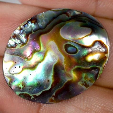 Cts Natural Abalone Shell Sea Snail Cabochon Loose Gemstone