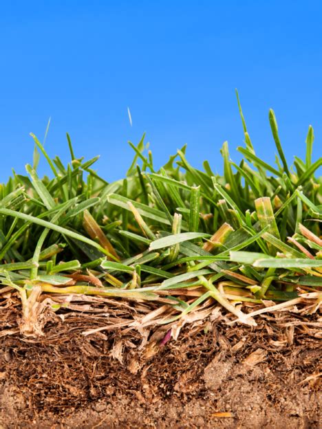 Rund Um Den Rasen Hecht Gartentechnik