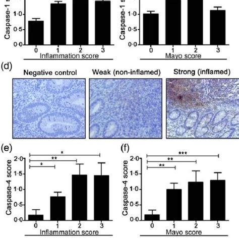 Increased Inflammatory Caspase Gene Expression In Inflammatory Bowel