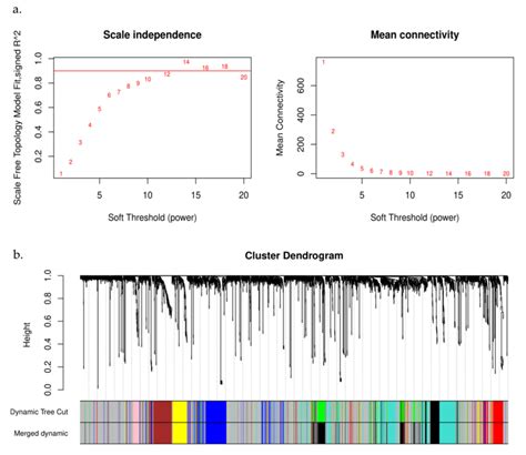 Wgcna Analysis A The Soft Threshold Selection Including The
