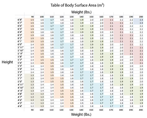 Body Surface Area Chart With Photos