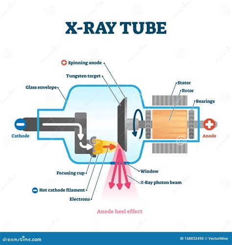 Diagram Of X Ray Tube