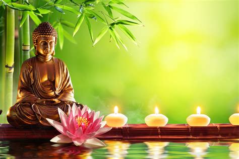 Buddha Purnima 2021 History Significance And All You Need To Know