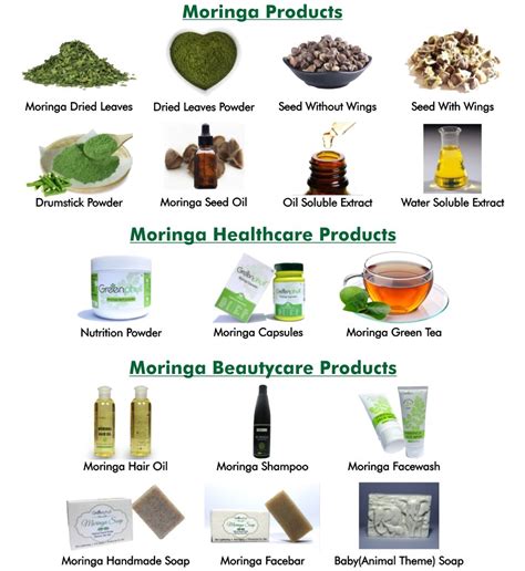 13 Benefits Of Moringa Artofit