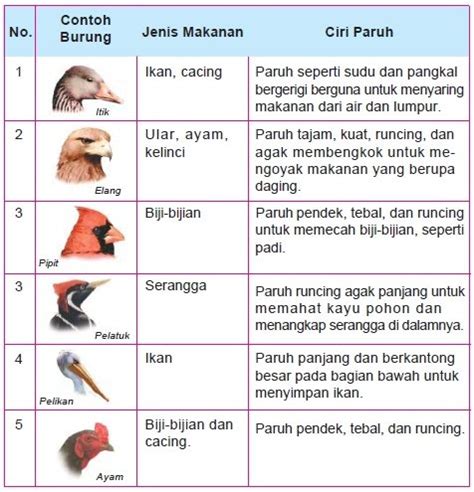 Penyesuaian Diri Makhluk Hidup Terhadap Lingkungannya Materisekolah