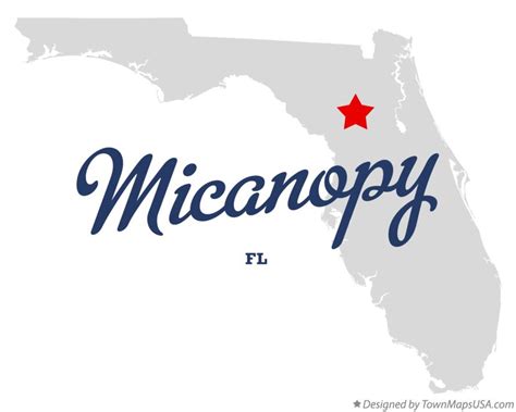 Map Of Micanopy Fl Florida