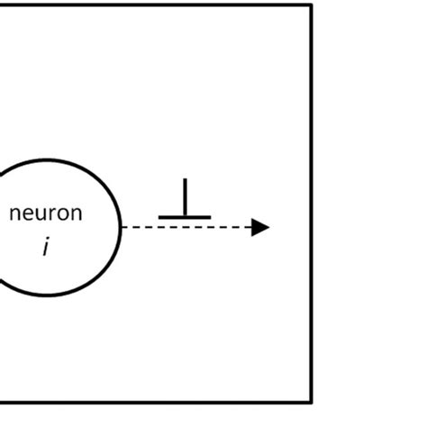 Schematic Representation Of Leaky Integrate And Fire Neuron Model Download Scientific Diagram