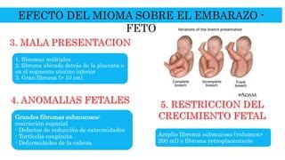 Miomas Uterinos Y El Embarazo Ppt