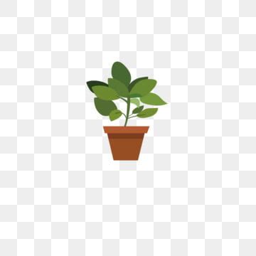 Plant Clipart Images | Free Download | PNG Transparent Background - Pngtree