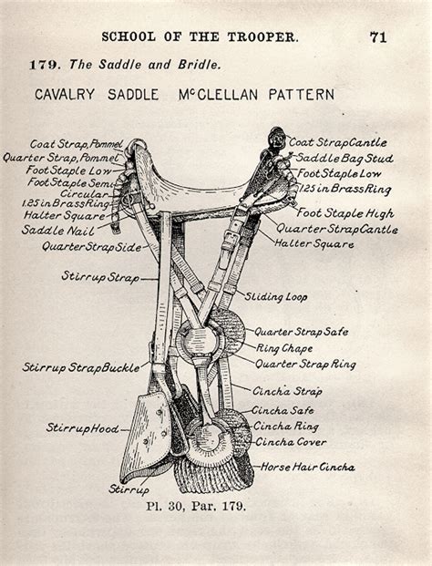 The M1904 Cavalry Mcclellan Pattern I And Ii The Mcclellan Saddle