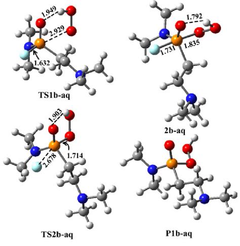 B3lyp6 31gb3lyp6 31g Optimized Geometries And Selected Bond