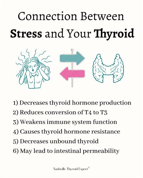 Connection Between Cortisol And Thyroid All Purpose Nutrition