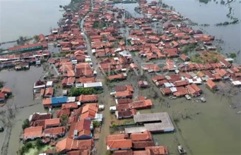 Terancam Tenggelam Di Tahun Kota Pekalongan Akan Gunakan Jurus