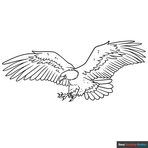 How to Draw a Bald Eagle Flying - Really Easy Drawing Tutorial