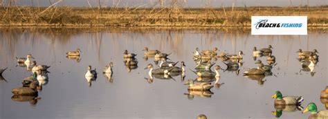 3 Best Duck Hunting Decoys In 2024